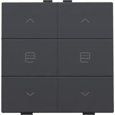 Niko jaloeziebediening 2-voudig voor Niko Home Control anthracite coated (122-51036)