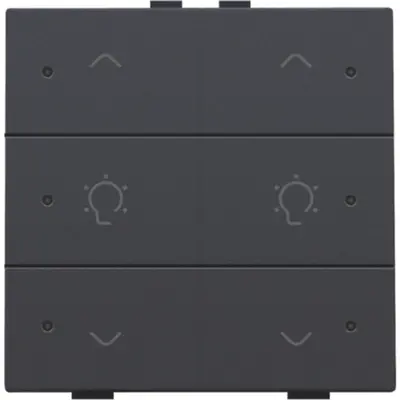 Niko dimbediening 2-voudig met LED en symbool voor Niko Home Control anthracite coated (122-52046)
