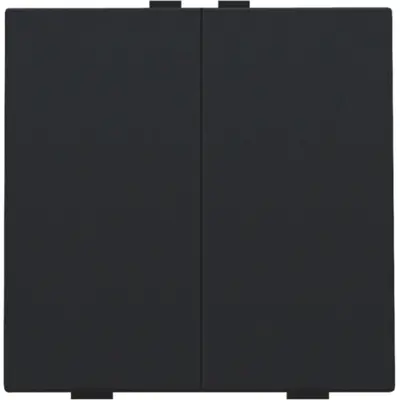 Niko drukknop 2-voudig voor Niko Home Control black coated (161-51002)