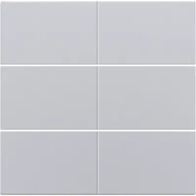 Niko afwerkingsset voor 6-voudige potentiaalvrije drukknop 24 V sterling coated (121-60050)