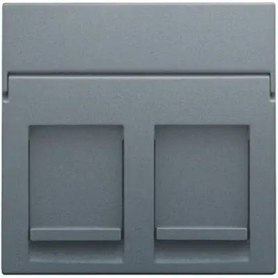 Niko centraalplaat 2-voudig vlak tbv RJ draagring blue grey coated (220-65200)
