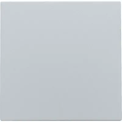 Niko blindplaat met kabeluitvoer zonder draagring sterling coated (121-76001)