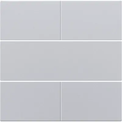 Niko afwerkingsset voor 4-voudige potentiaalvrije drukknop 24 V sterling coated (121-40050)