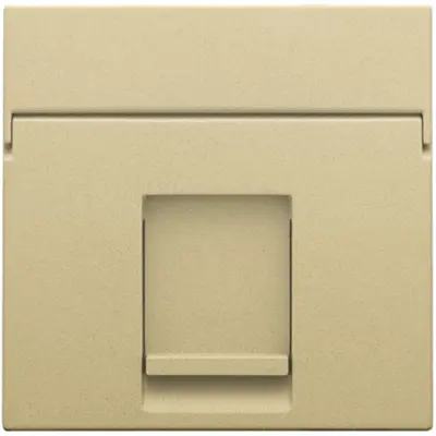 Niko centraalplaat 1-voudig vlak tbv RJ draagring gold coated (221-65100)