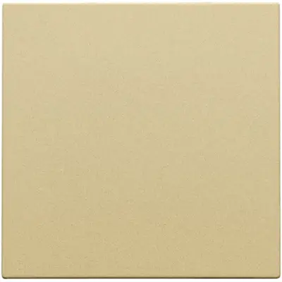 Niko blindplaat zonder draagring gold coated (221-76901)