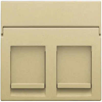 Niko centraalplaat 2-voudig vlak tbv RJ draagring gold coated (221-65200)