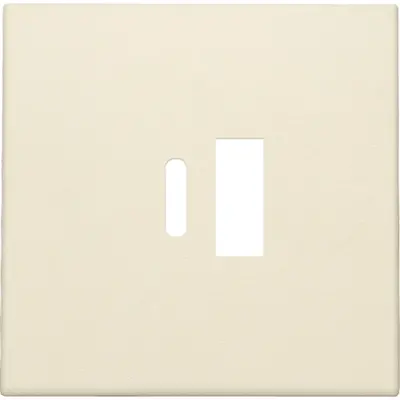 Niko afwerkingsset voor dubbele smart USB-A en USB-C lader cream (100-68002)