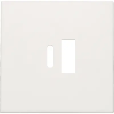 Niko afwerkingsset voor dubbele smart USB-A en USB-C lader white (101-68002)