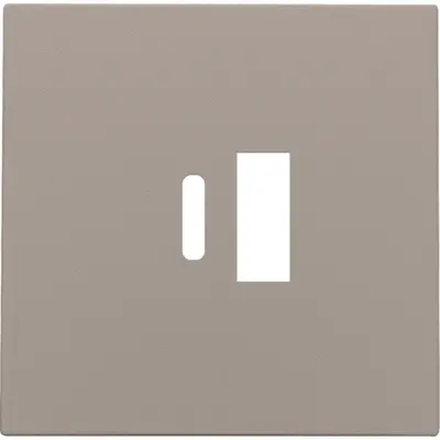 Niko afwerkingsset voor dubbele smart USB-A en USB-C lader bronze coated (123-68002)