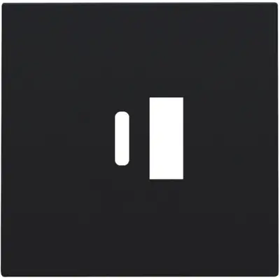 Niko centraalplaat voor dubbele smart USB-A en USB-C lader black coated (161-68002)