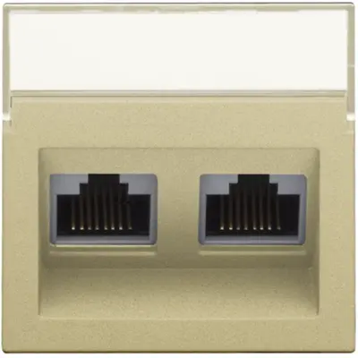 Niko centraalplaat 2-voudig tbv RJ draagring schuin met tekstveld gold coated (221-65400)