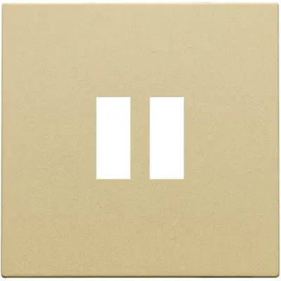 Niko centraalplaat voor USB contactdoos gold coated (221-68001)