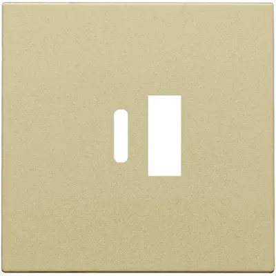 Niko centraalplaat voor dubbele smart USB-A en USB-C lader gold coated (221-68002)