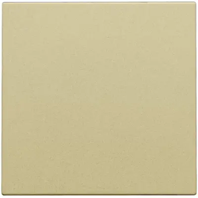 Niko blindplaat met kabeluitvoer zonder draagring gold coated (221-76001)