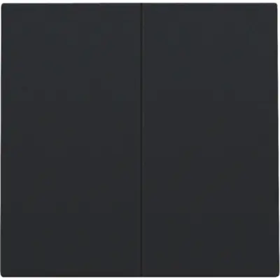 Niko afwerkingsset voor dubbele elektronische schakelaar black coated (161-31004)