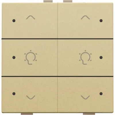 Niko dimbediening 2-voudig met LED en symbool voor Niko Home Control gold coated (221-52046)