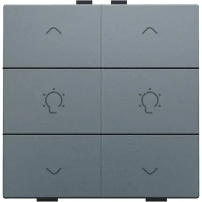 Niko dimbediening 2-voudig met symbool voor Niko Home Control blue grey coated (220-51046)