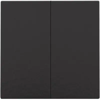 Niko drukknop 2-voudig voor Niko Home Control piano black coated (200-51002)