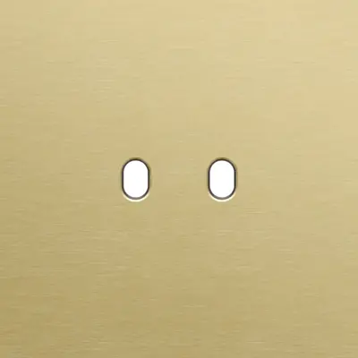 Niko Toggle 1-voudige afdekplaat voor tweevoudige schakelaar alu gold brushed (227-57102)