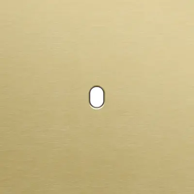 Niko Toggle 1-voudige afdekplaat voor enkelvoudige schakelaar alu gold brushed (227-57101)