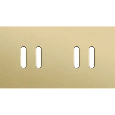 Niko Rocker 2-voudige afdekplaat voor horizontale tweevoudige schakelaar alu gold brushed (227-56802)