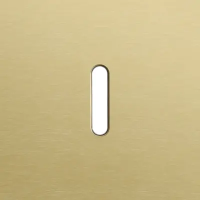 Niko Rocker 1-voudige afdekplaat voor enkelvoudige schakelaar alu gold brushed (227-56101)