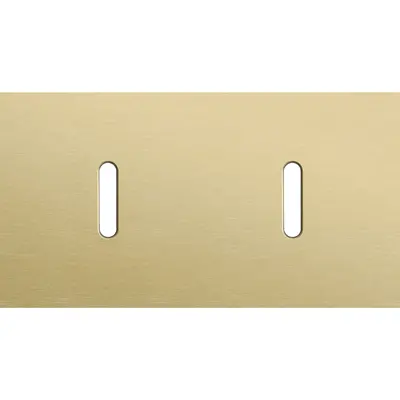 Niko Rocker 2-voudige afdekplaat voor 2 horizontale enkele schakelaars alu gold brushed (227-56801)