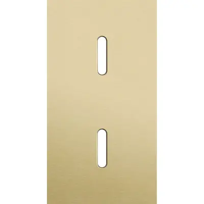 Niko Rocker 2-voudige afdekplaat voor 2 verticale enkele schakelaars alu gold brushed (227-56851)