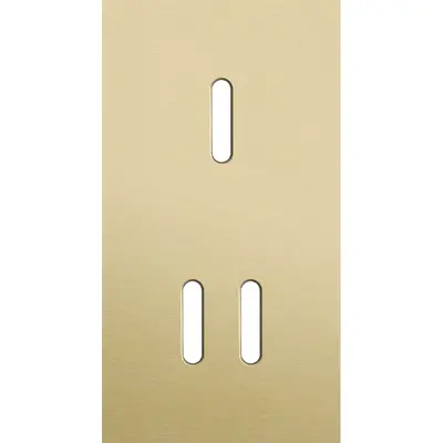 Niko Rocker 2-voudige afdekplaat verticaal voor 1 enkele en 1 dubbele schakelaar alu gold brushed (227-56853)