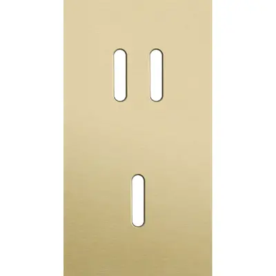 Niko Rocker 2-voudige afdekplaat verticaal voor 1 dubbele en 1 enkele schakelaar alu gold brushed (227-56854)