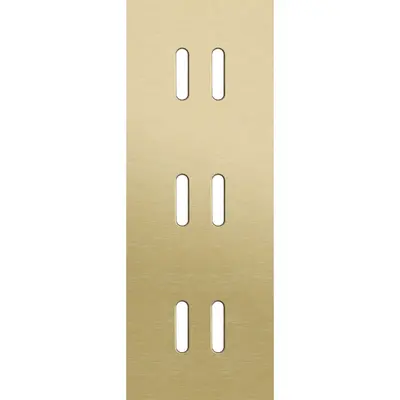 Niko Rocker 3-voudige afdekplaat voor 3 verticale dubbele schakelaars alu gold brushed (227-56952)