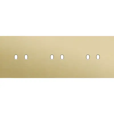 Niko Toggle 3-voudige afdekplaat voor 3 horizontale dubbele schakelaars alu gold brushed (227-57702)