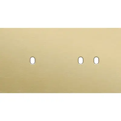 Niko Toggle 2-voudige afdekplaat horizontaal voor 1 enkele en 1 dubbele schakelaar alu gold brushed (227-57803)