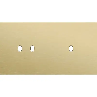 Niko Toggle 2-voudige afdekplaat horizontaal voor 1 dubbele en 1 enkele schakelaar alu gold brushed (227-57804)