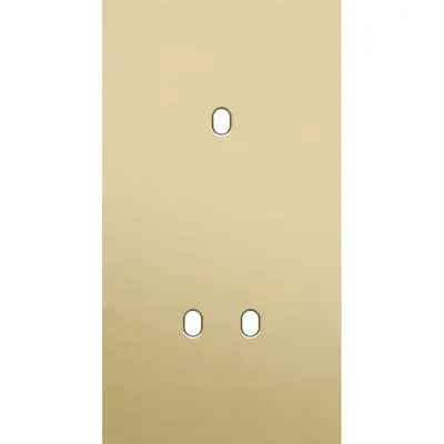Niko Toggle 2-voudige afdekplaat verticaal voor 1 enkele en 1 dubbele schakelaar alu gold brushed (227-57853)
