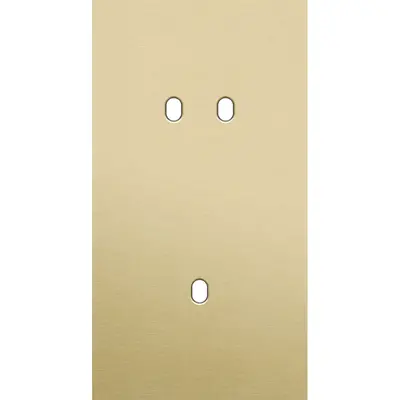 Niko Toggle 2-voudige afdekplaat verticaal voor 1 dubbele en 1 enkele schakelaar alu gold brushed (227-57854)