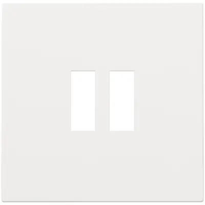 Niko centraalplaat USB-A 2-voudig white coated (154-68001)
