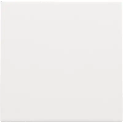 Niko blindplaat met kabeluitvoer zonder draagring white coated (154-76001)