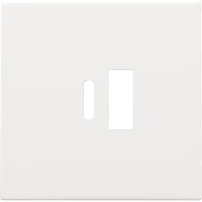 Niko afwerkingsset voor dubbele smart USB-A en USB-C lader white coated (154-68002)