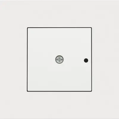 Niko afwerkingsset voor 1-kanaals inbouw RF-ontvanger white coated (154-77001)