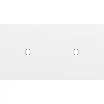 Niko Toggle 2-voudige afdekplaat voor 2 horizontale enkele schakelaars steel white coated (154-57801)