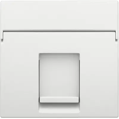 Niko centraalplaat 1-voudig tbv RJ draagring white coated (154-65100)