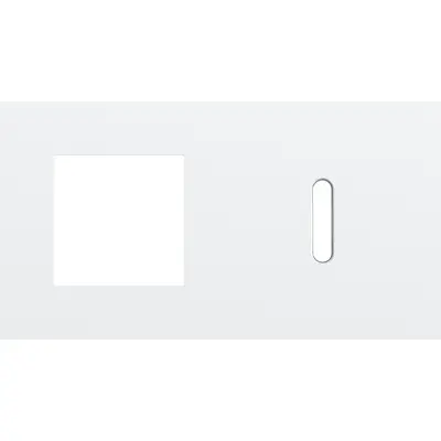 Niko Rocker 2-voudige afdekplaat horizontaal voor 1 x 45x45-functie en 1 enkele schakelaar steel white coated (154-56806)