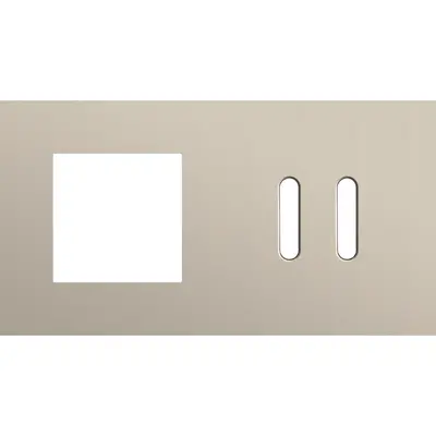 Niko Rocker 2-voudige afdekplaat horizontaal voor 1 x 45x45-functie en 1 dubbele schakelaar steel champagne coated (166-56808)