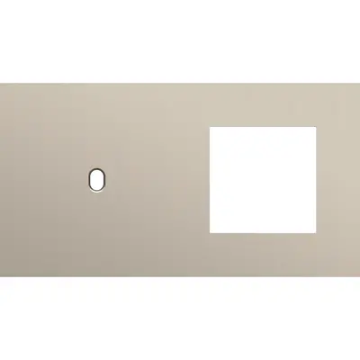 Niko Toggle 2-voudige afdekplaat horizontaal voor 1 enkele schakelaar en 1 x 45x45-functie steel champagne coated (166-57805)