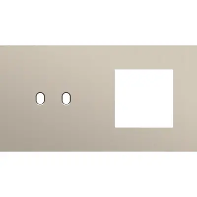 Niko Toggle 2-voudige afdekplaat horizontaal voor 1 dubbele schakelaar en 1 x 45x45-functie steel champagne coated (166-57807)