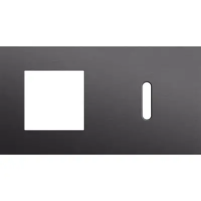 Niko Rocker 2-voudige afdekplaat horizontaal voor 1 x 45x45-functie en 1 enkele schakelaar alu black brushed (224-56806)