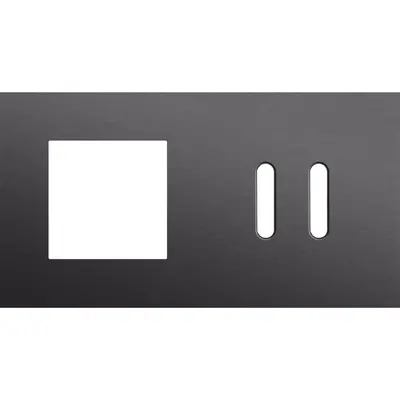 Niko Rocker 2-voudige afdekplaat horizontaal voor 1 x 45x45-functie en 1 dubbele schakelaar alu black brushed (224-56808)
