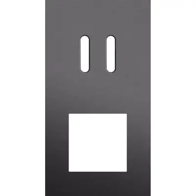 Niko Rocker 2-voudige afdekplaat verticaal voor 1 dubbele schakelaar en 1 x 45x45-functie alu black brushed (224-56856)