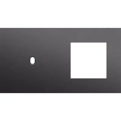 Niko Toggle 2-voudige afdekplaat horizontaal voor 1 enkele schakelaar en 1 x 45x45-functie alu black brushed (224-57805)